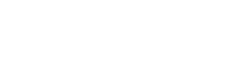 Channel_Partner_badges_Adobe_Gold_Reseller_Education_white 2