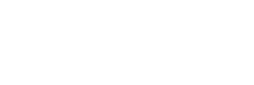 Channel_Partner_badges_Adobe_Gold_Reseller_Government_white